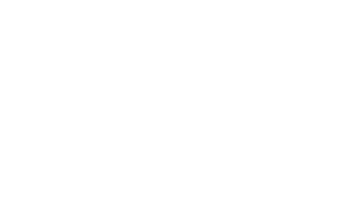 Medivet & Partners